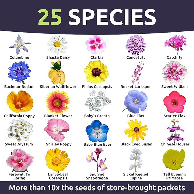 Pacific Northwest Regional Mix - Large 1 Ounce Packet - 24,000 Flower Seeds for Planting