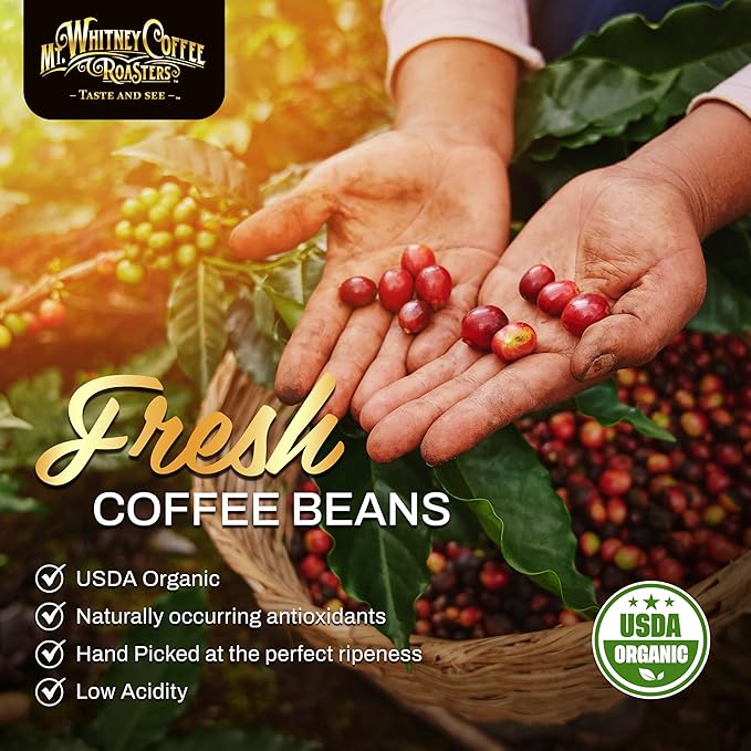 Mt. Whitney Base Camp Blend Whole Bean Medium Dark Roast Low Acid Coffee - 5 lb (Pack of 1)