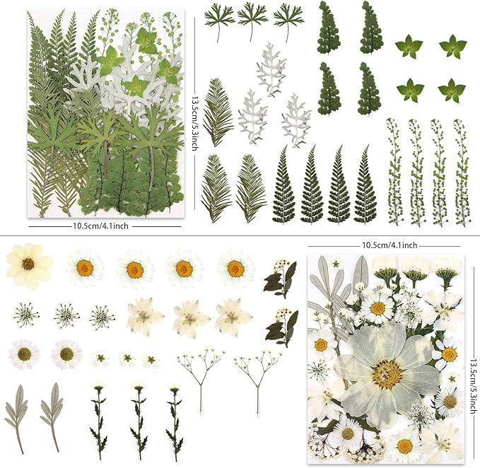 100P White Foliage & Flower Mix Dried Flowers for Crafts, Real Natural Pressed Flowers for DIY