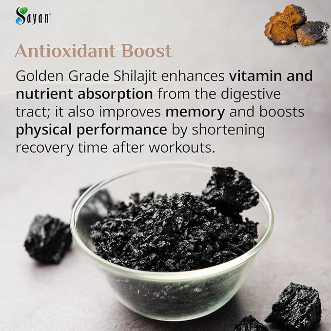 Sayan Siberian Chaga Mushroom Extract with Shilajit Powder (4 oz) ??Organic Antioxidant Tea