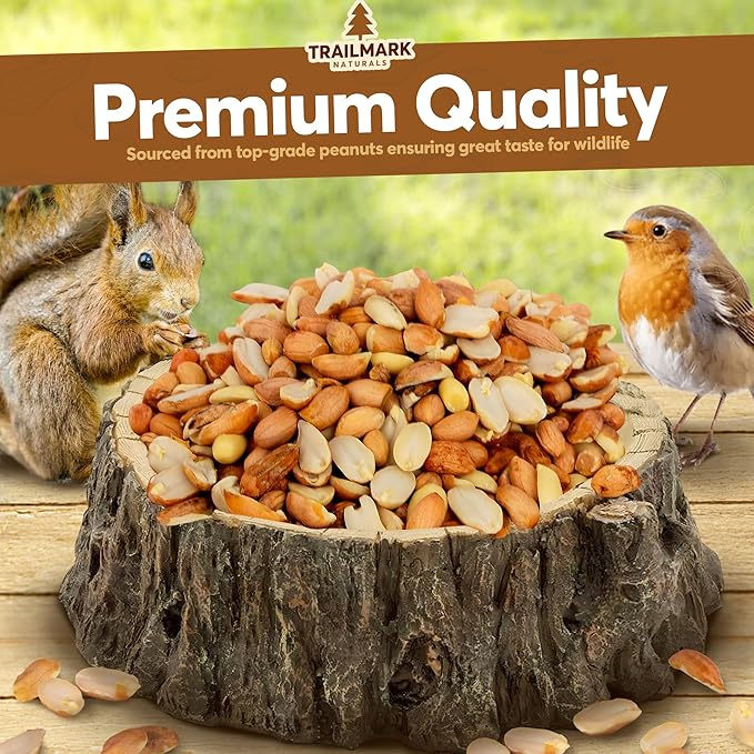 8 LB - Raw Shelled Peanuts For Squirrels, Out of Shell Peanuts For Birds and Wildlife- Squirrel