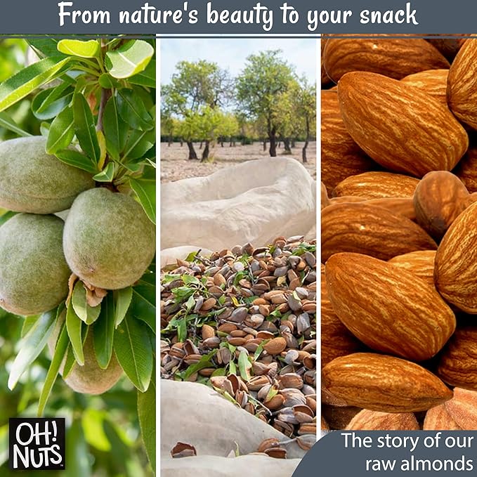 Oh! Nuts Almonds - Raw - 100% Natural - 2 lb - High-Protein Whole Almonds - Packed in New York