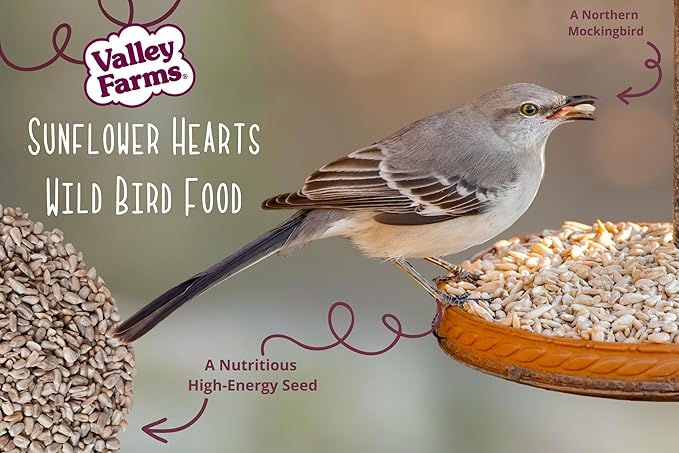 Valley Farms Whole Sunflower Hearts for Birds, Girasol Kernels Wild Bird Food, No Mess Wild Bird