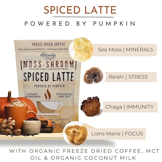 Elderwise Organics Coffee Spiced Latte | Powered by Pumpkin & Mushrooms | Sea Moss, Chaga, Lion's