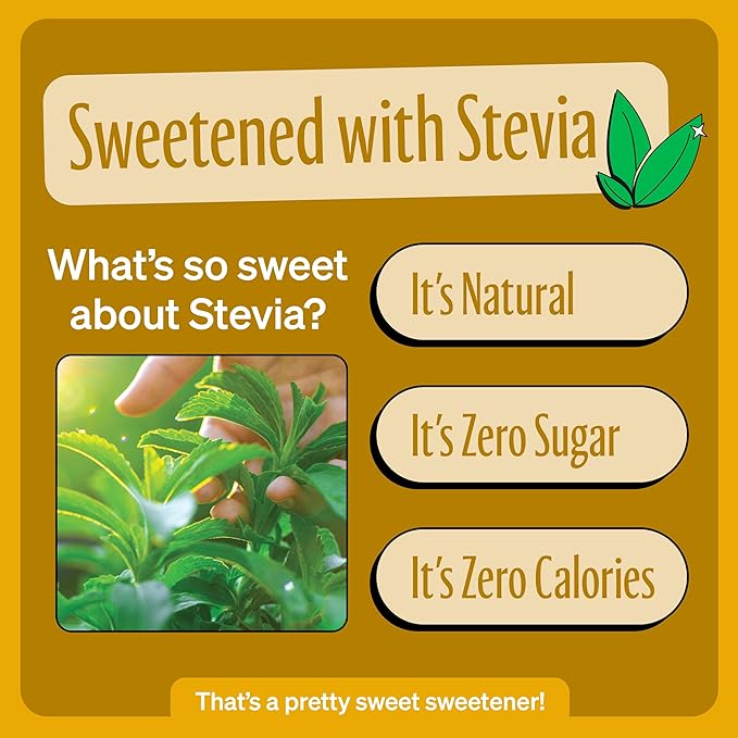 Zevia Zero Sugar Soda, Cream Soda, 12 oz Cans (24-Pack) -Naturally Sweetened, Non-GMO Project