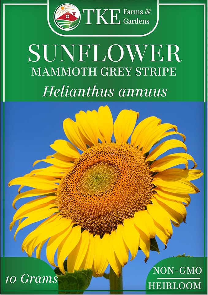 TKE Farms & Gardens - Mammoth Sunflower Seeds for Planting, 100+ Non-GMO Heirloom Seeds, Grow