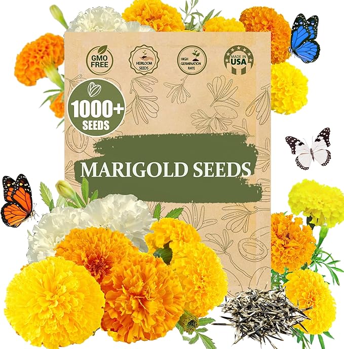 Premium Rare Marigold Seeds - 1000 Heirloom, Non-GMO Flower Seeds for Planting, Easy to Grow -Mix