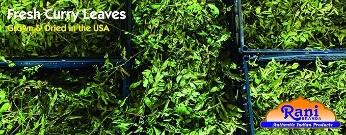 Rani Fresh Curry Leaves 2-3oz ~ All Natural | Vegan | Gluten Friendly | NON-GMO | Product of USA