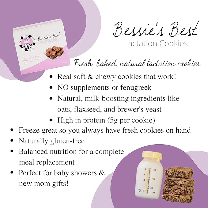 Bessie?셲 Best Lactation Cookies | Dairy Free Lactation Cookies | Oatmeal Peanut Butter Chocolate