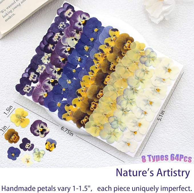 64 Pcs Dried Pressed Viola Flowers, 8 Color Gradient Purple Blue Yellow White, for Resin DIY Art