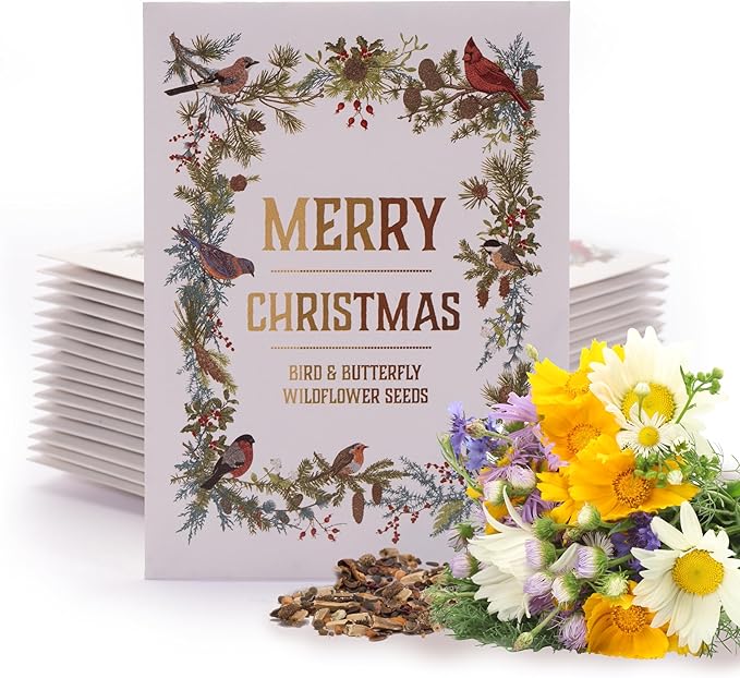Bentley Seeds Co. Merry Christmas Wreath of Birds Holiday/Christmas Gift Tags | Non-GMO, Non Coated