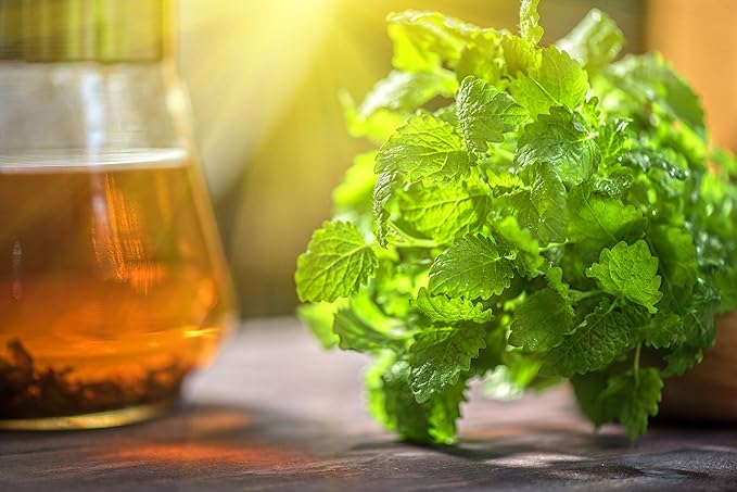 Lemon Balm (Herbal Tea): (Melissa Officinalis Caffeine Free) - Balm Leaf (Cut and Sifted), 1lb
