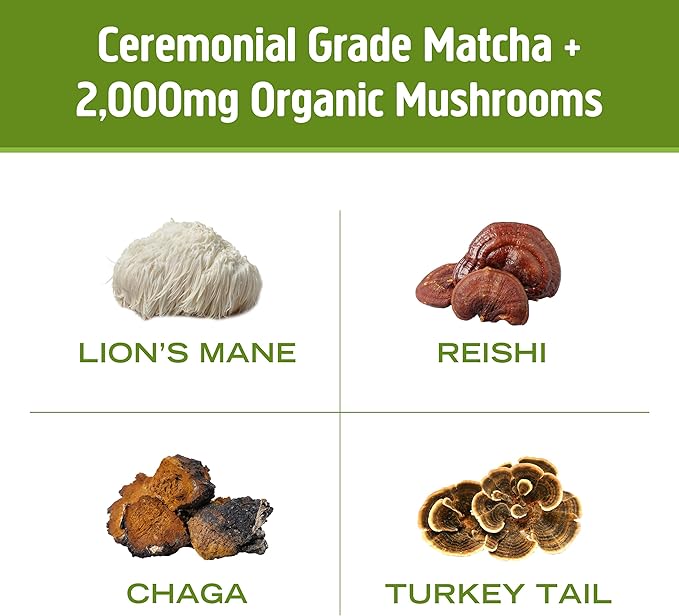 Om Mushroom Superfood Matcha Latte Blend Mushroom Powder, 8.47 Ounce Canister, 30 Servings, Green