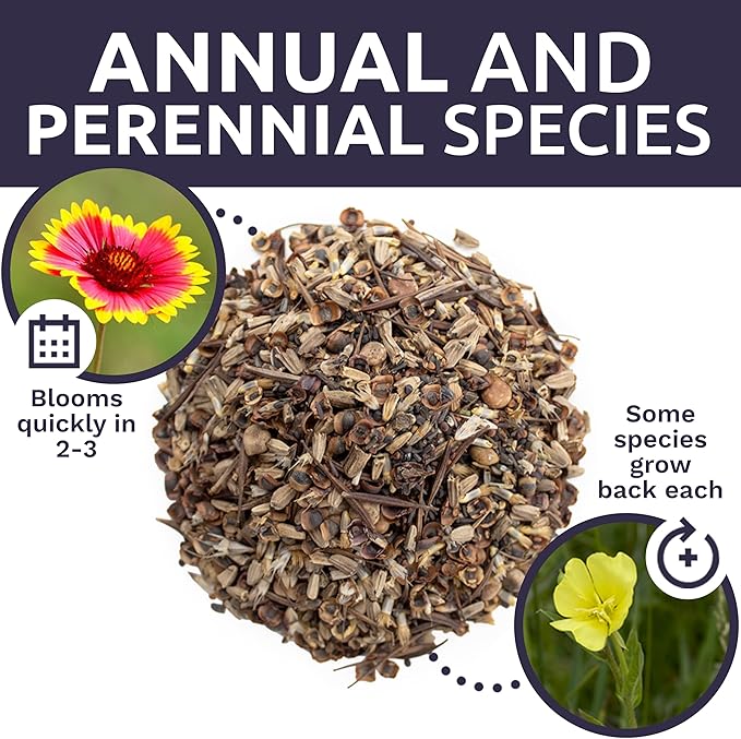 Texas Oklahoma Wildflower Seeds Mixture - Bulk 1/4 Pound Bag - Over 60,000 Native Seeds - Open