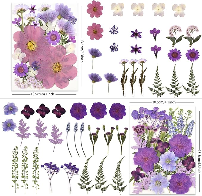 100P Purple Pressed Flowers – Real Dried Flowers for Crafts in Rich Violet Tones, Ideal for Resin