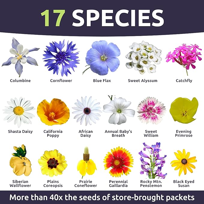 Rocky Mountain Regional Mix - Bulk 1/4 Pound Pouch - 100,000 Flower Seeds for Planting - Wildflower