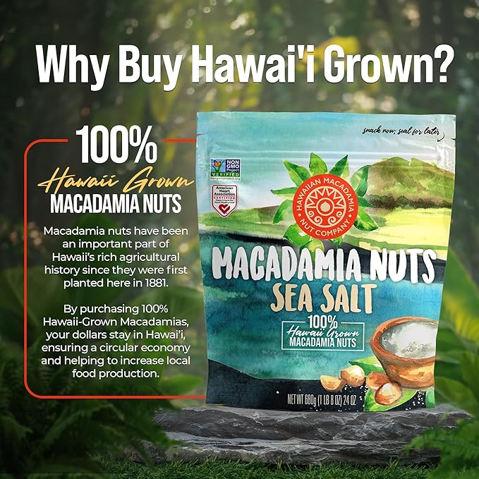 Hawaiian Macadamia Nut Company Dry Roasted Macadamia Nuts with Sea Salt 24 Oz (Pack of 2, Total