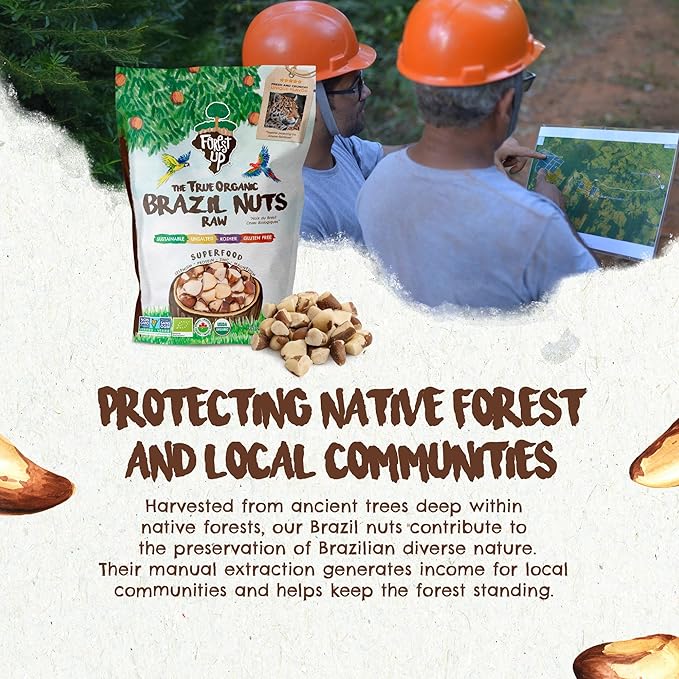 Snack The True Organic Broken Brazil Nuts 32 oz – Raw and Unsalted – Healthy-Rich in Vegetable