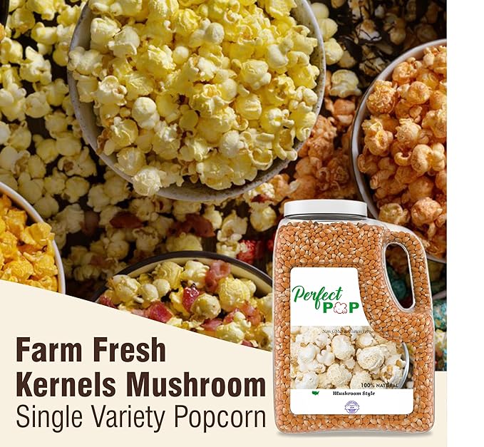 Concession Essentials Premium Gourmet Mushroom Extra Large Popcorn Kernels - 8lb