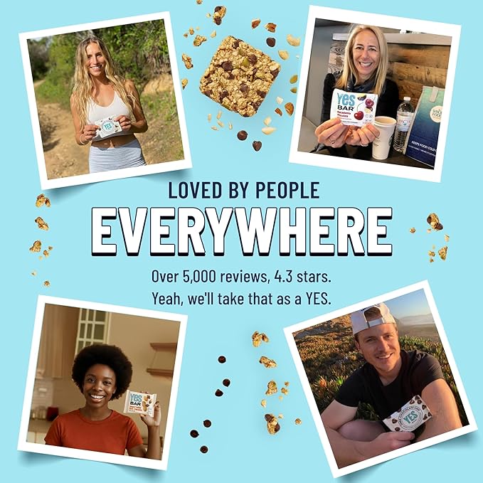 The YES Bar ??Dark Chocolate Chip ??Plant Based Protein, Decadent Snack Bar ??Vegan, Paleo, Gluten