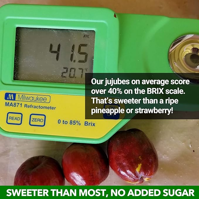 USDA Organic California Grown Pure Jujube Product | JUJUME Crisps | Sweet Jujube Chips | ZERO Added