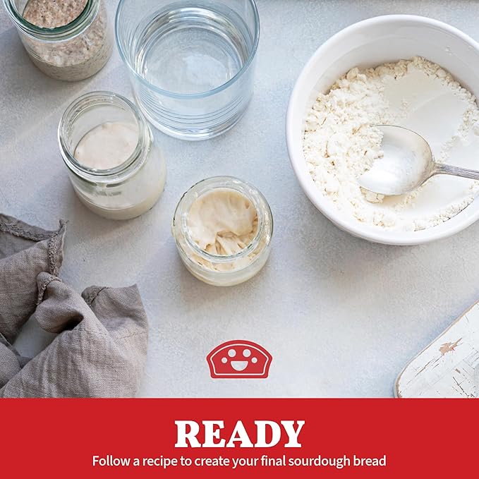 Bakers Club Rapid 24-Hour Sourdough Starter Culture - Makes 5 Batches - Mix, Ferment & Bake Next