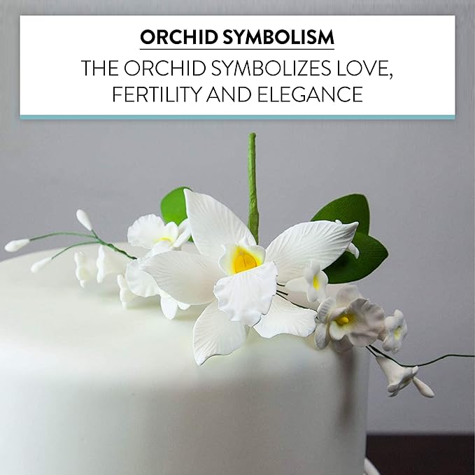 Global Sugar Art Cymbidium Orchid Sugar Cake Flowers Spray, White, 1 Count by Chef Alan Tetreault