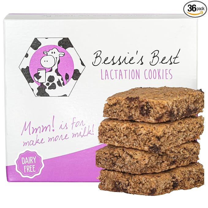 Bessie?셲 Best Lactation Cookies | Dairy Free Lactation Cookies | Oatmeal Peanut Butter Chocolate