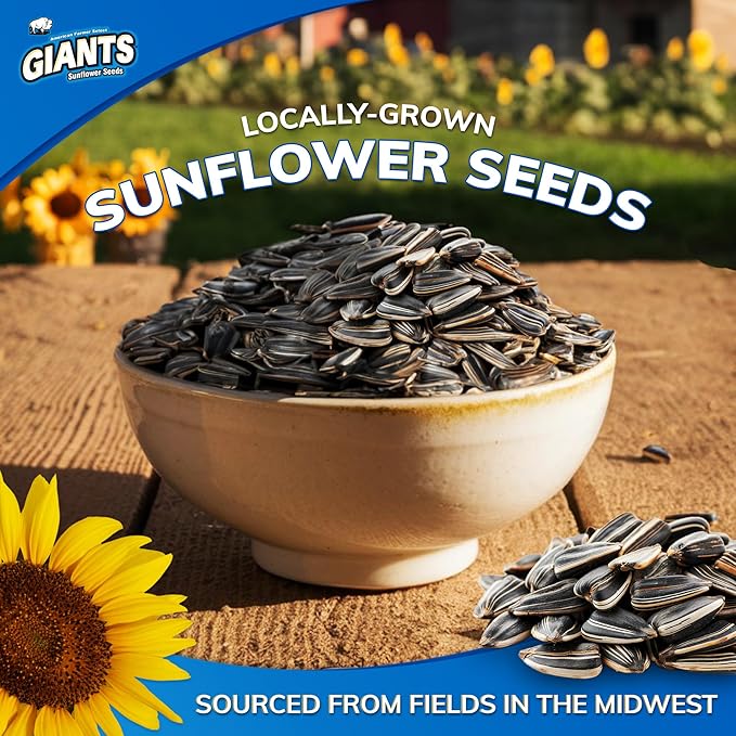 GIANTS Kettle Roast Sweet & Salty Sunflower Seeds - Sunflower Seeds Bulk, Sunflower Seed Snack