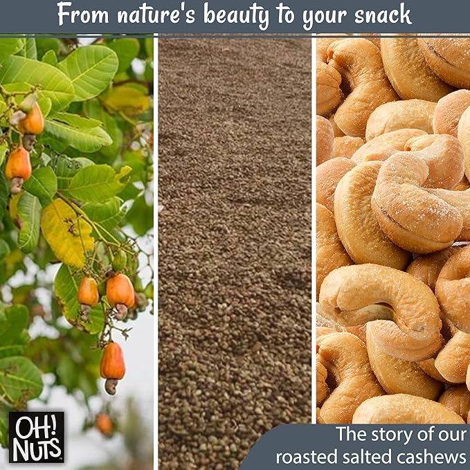 Oh! Nuts Cashews Roasted Salted - 1 lb - Oven Dry Roasted Cashews - Packed in New York Zip-Seal Bag