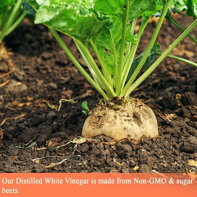 De La Rosa Distilled White Vinegar, Raw & Unfiltered, Kosher for Passover, Vegan & Gluten Free
