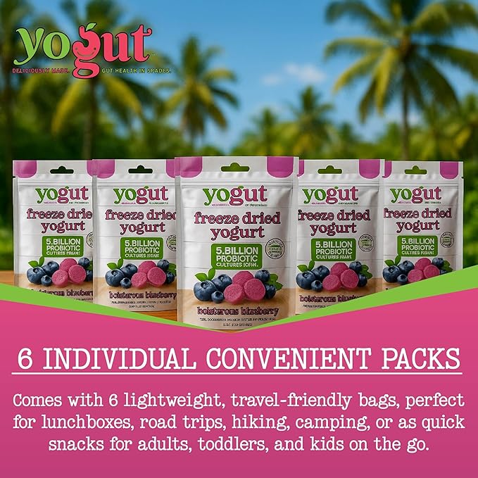 YoGut Freeze Dried Yogurt Snack, Blueberry, 6 Pack, Healthy Snacks for Kids, Toddlers & Adults