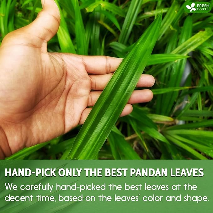 FreshDrinkUS, Premium 30 Pandan Leaf Tea Bags, 100% Natural & Pure from Pandan Leaves. Loose Leaf