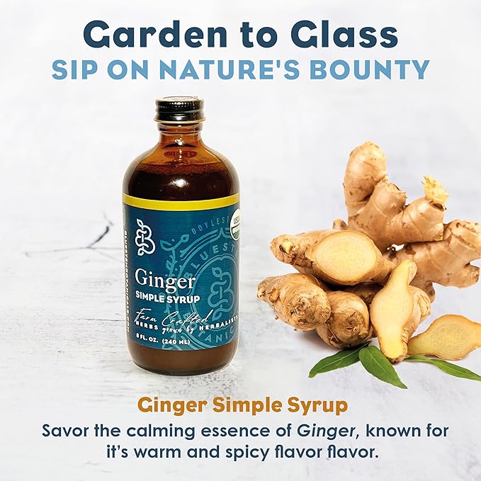 Bluestem Botanicals Organic Ginger Simple Syrup, 8 oz, Cocktail and Mocktail Mixer for Drinks