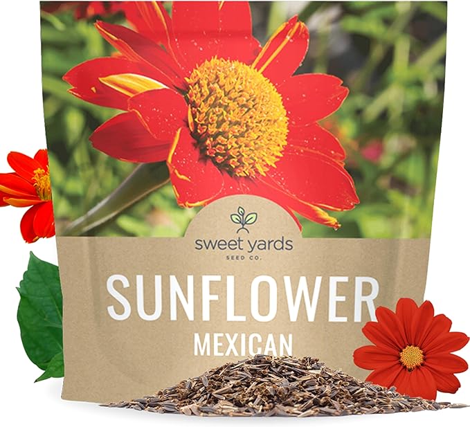 Mexican Sunflower Seeds – Extra Large Packet – Over 2,500 Open Pollinated Non-GMO Wildflower Seeds