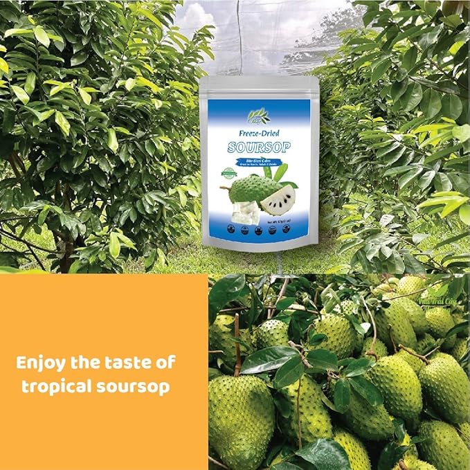 CHAVI Freeze-Dried Soursop - 2 Oz - Healthy 1 Ingredient Superfood - No Added Sugars or