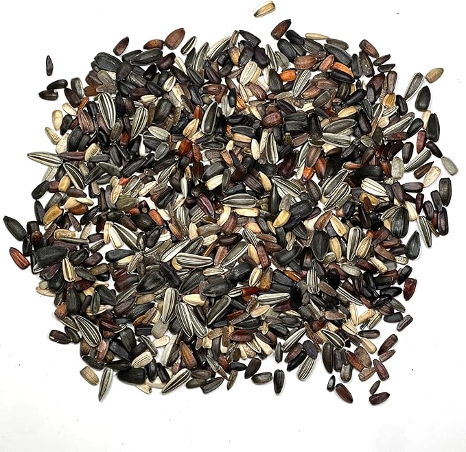 Seed Needs Sunflower Seeds for Planting The Original Crazy Blend | 1 Ounce 15+ Heirloom Varieties