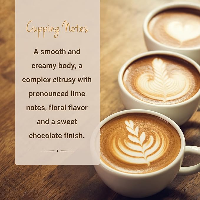 Ethiopian Yirgacheffe Coffee, Single Serve Coffee Pods, Premium Ethiopia Yirgacheffe Single Origin