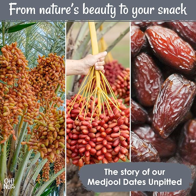 Oh! Nuts Jumbo Medjool Dates - Dried Dates - 2 lb - Unpitted Medjool Dates - No Sugar Added