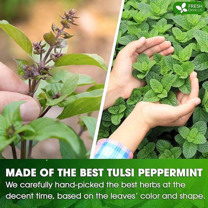 FreshDrinkUS, Premium Tulsi Peppermint Herbal Tea ??55 Tea Bags, 100% Natural, Blend of Tulsi Holy