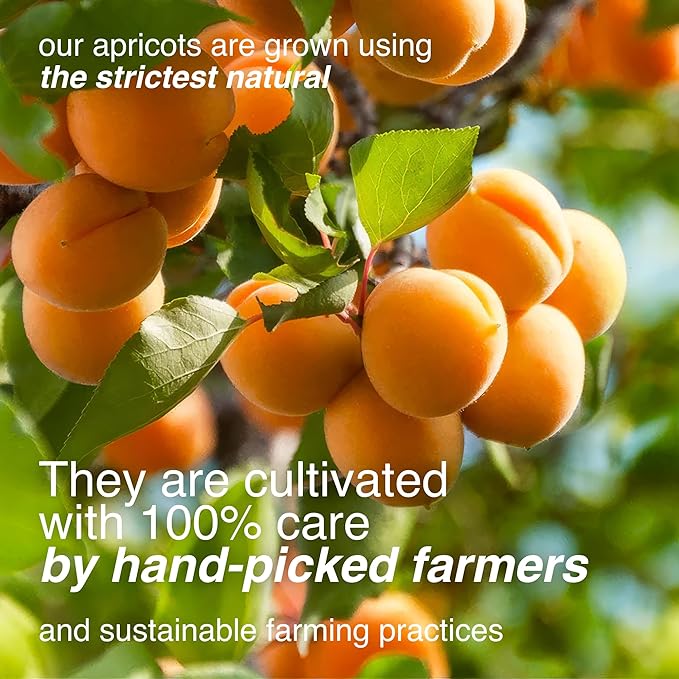 Arashan Apricots – Delicious Dried Apricot Fruit, MOST Delectable Dry Apricot In The World! Grown