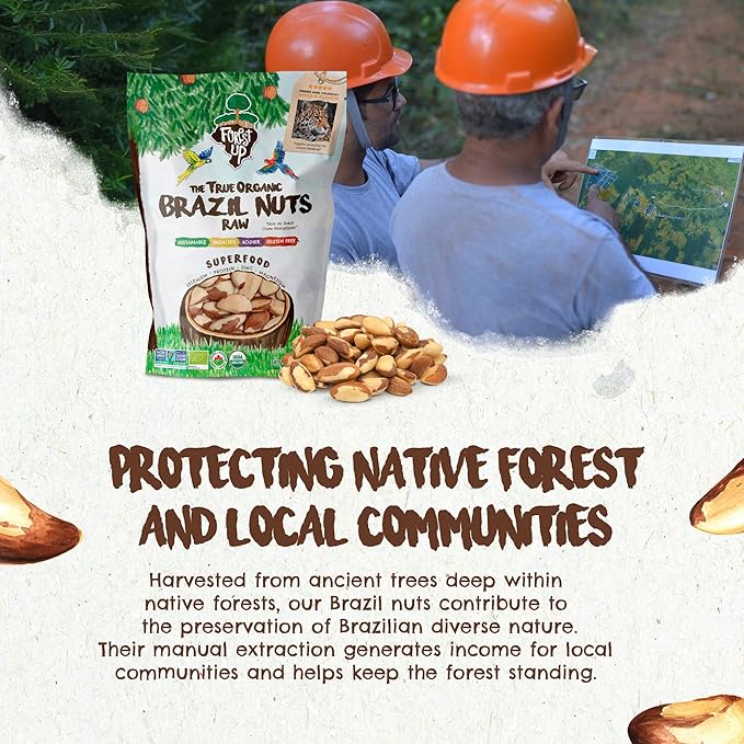 2 Snacks The True Organic Brazil Nuts Medium Size 48 oz 3lbs – Raw and Unsalted – Rich in Vegetable