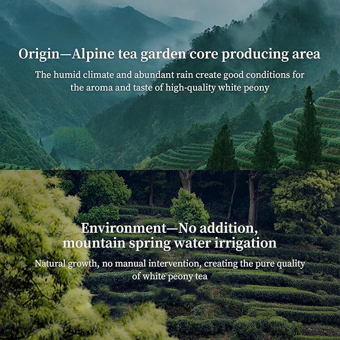 XIXICHA White Peony Tea White Tea Loose Leaf Pai Mu Dan Chinese Tea Peonies Low Caffeine Light &