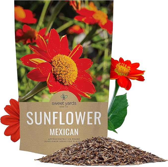 Mexican Sunflower Seeds – Bulk Quarter Pound Bag – Over 10,000 Open Pollinated Non-GMO Wildflower