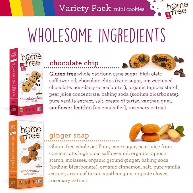 Homefree Treats — Vegan Cookies Variety Pack – Allergy Safe School Snacks – Peanut Free, Gluten