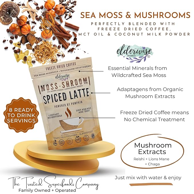 Elderwise Organics Coffee Spiced Latte | Powered by Pumpkin & Mushrooms | Sea Moss, Chaga, Lion's