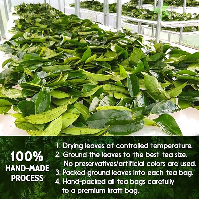 FreshDrinkUS, 60 Premium - The Top Soursop Graviola Leaf Tea Bags, 100% Pure & Natural from Soursop