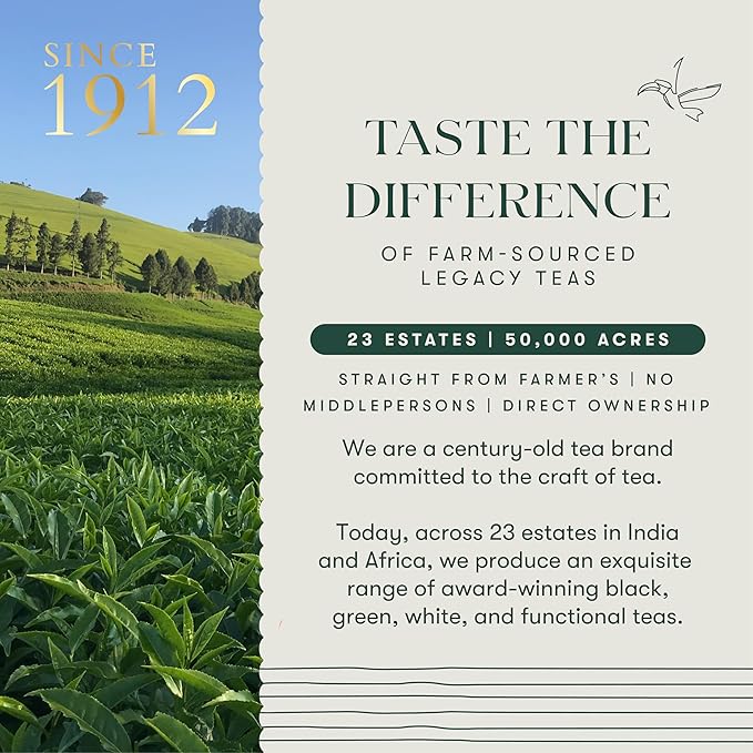 Luxmi Estates Midnight Bloom Organic Jasmine Tea (25 Tea Bags) Mildly Caffeinated Tea Bags For