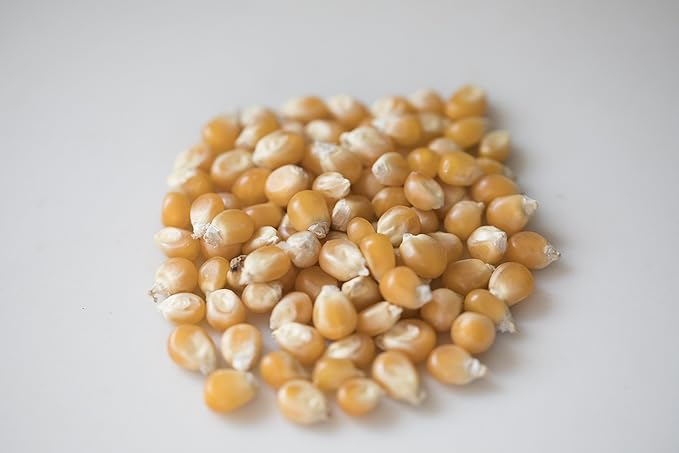 Amish Country Popcorn | 24-4 Oz Bags - Mushroom Kernels | Old Fashioned, Non-GMO and Gluten Free