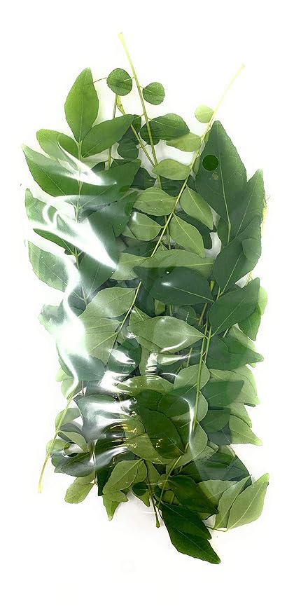 Rani Fresh Curry Leaves 1oz (28g) ~ All Natural | Vegan | Gluten Friendly | NON-GMO | Product of USA